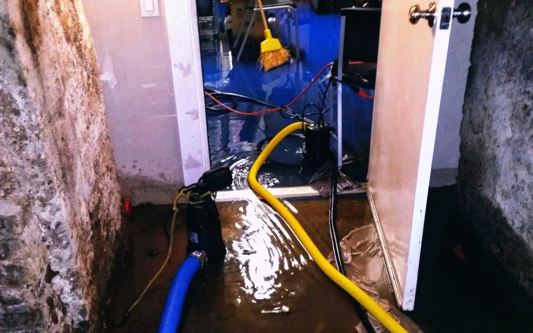 What Does a Water Mitigation Service in Honolulu Actually Do After a Flood?