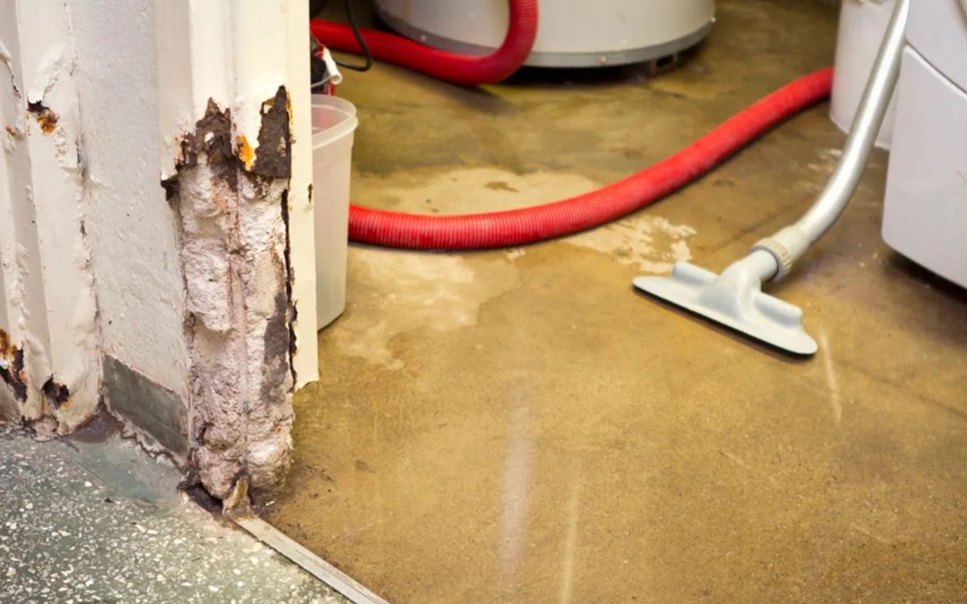 How Quickly Should You Call a Water Mitigation Service After Flooding in Honolulu?