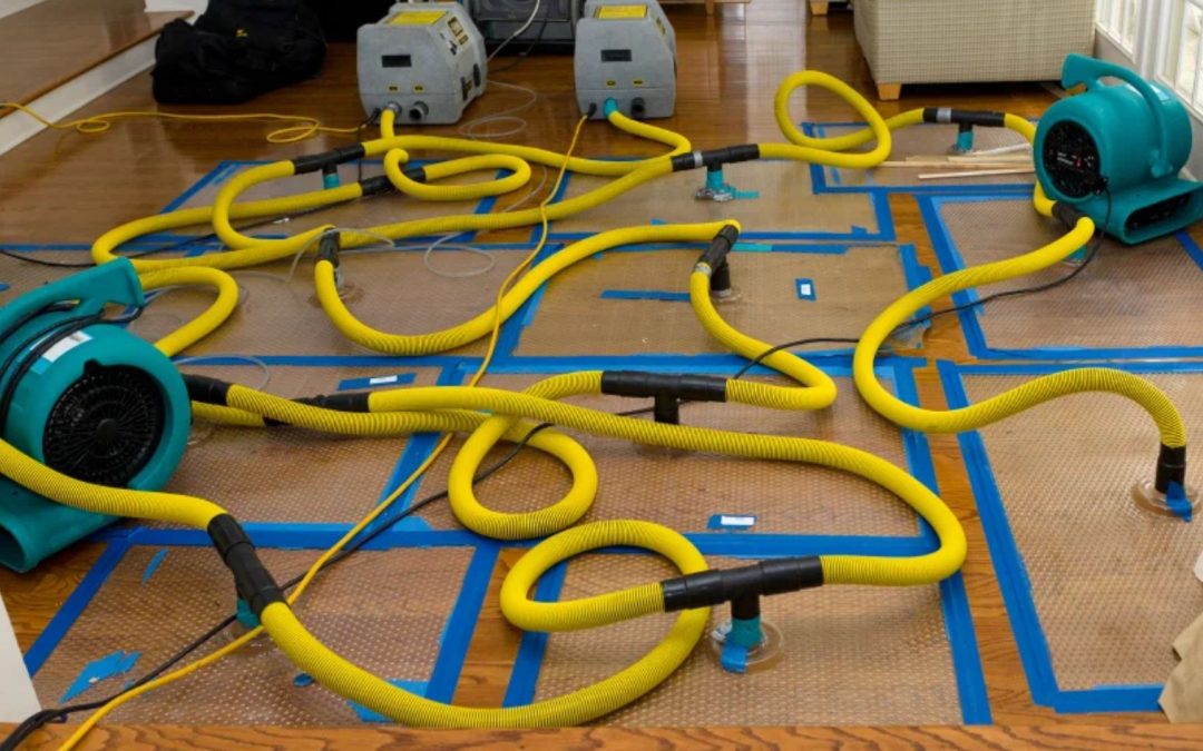 What Is Water Mitigation and Why Is It Critical for Honolulu Homes?