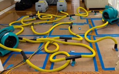 Blog 1 What Is Water Mitigation and Why Is It Critical for Honolulu Homes?