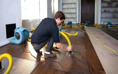 Blog 5 How Do Water Mitigation Services in Honolulu Protect Homes from Future Water Damage?
