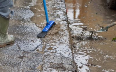 Blog 2 How Quickly Should You Call Water Damage Restoration Services in Ewa Beach?