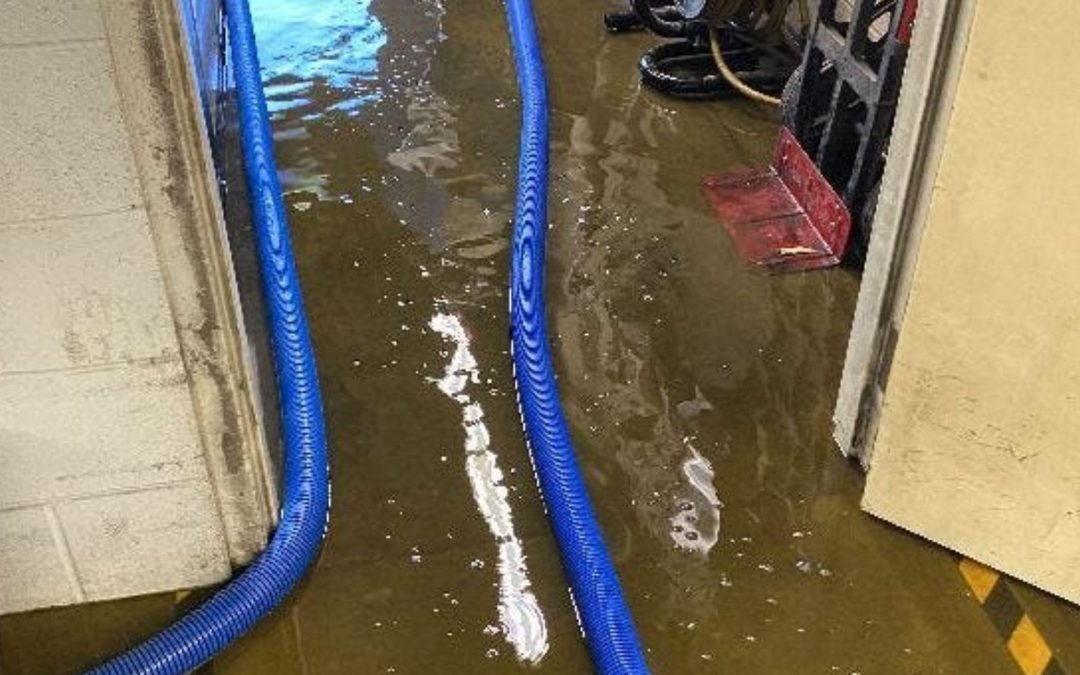 How Much Does a Water Mitigation Service in Honolulu Typically Cost?