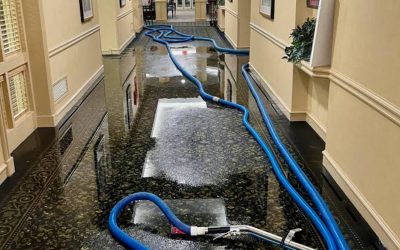 Blog 8 How Do Honolulu Water Mitigation Experts Handle Insurance Claims?