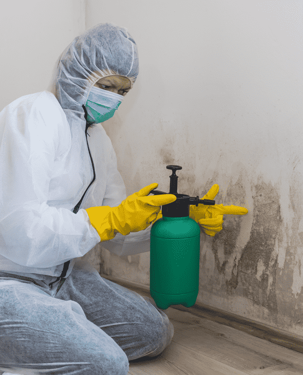 Hawaiian Isles Restoration photo 3